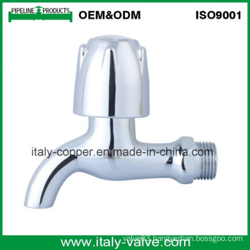 OEM&ODM Quality Brass Polished Tap (AV2062)